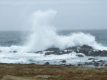 Golven slaan kapot op de rotsen aan de oostkust